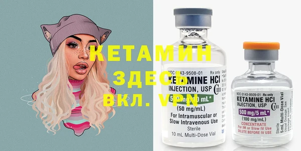шишки Вязники