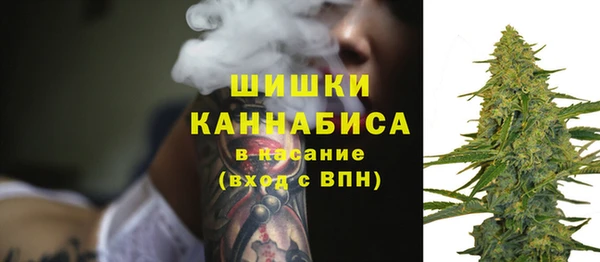 шишки Вязники