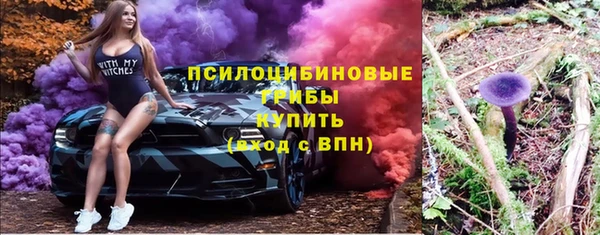 тгк Дмитров