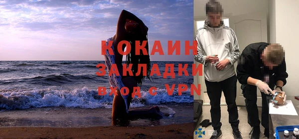 шишки Вязники