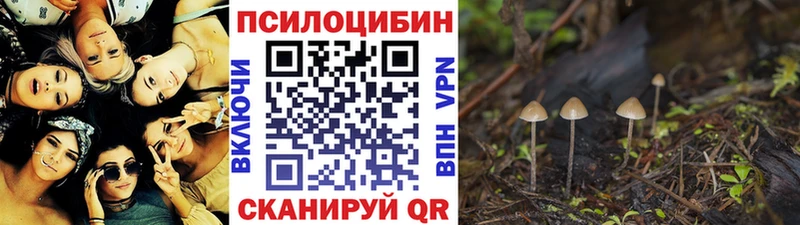 купить наркотик Донской Галлюциногенные грибы ЛСД