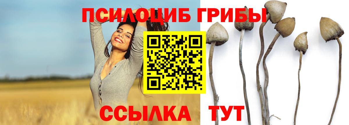 Псилоцибиновые грибы ЛСД  Вход с VPN  Галлюциногенные грибы Cubensis  Донской 